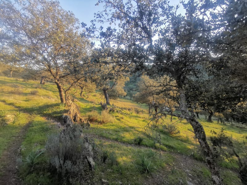 Région EXTREMADURA