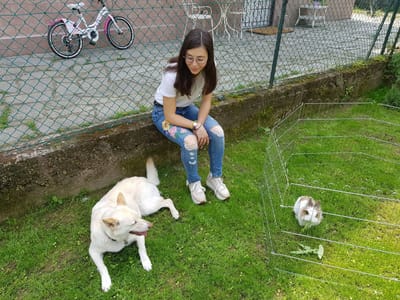 QUALCOSA SU DI ME  image