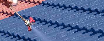 Waterproofing Roofs with Liquid Rubber Paint image