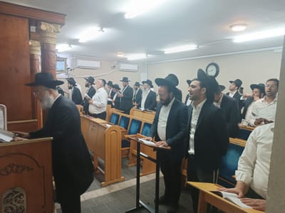 פעילות המוסדות image