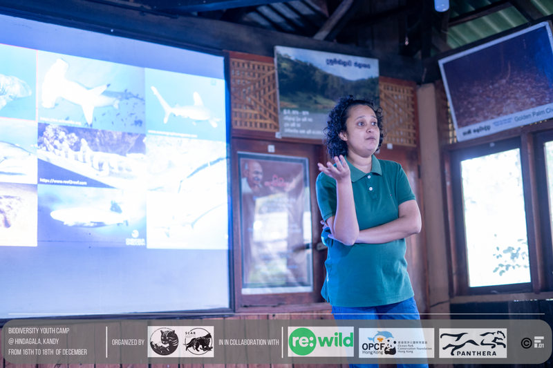 Talk on the “Importance of conserving Sharks and Rays in Sri Lanka”