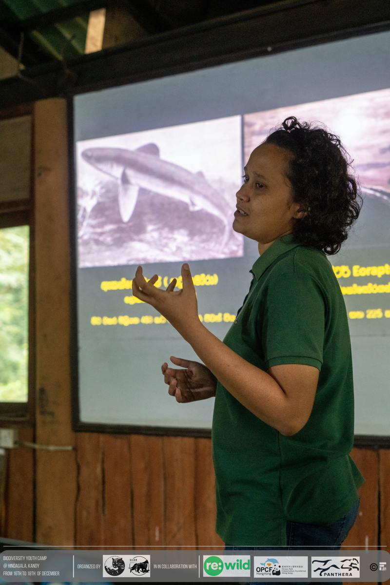 Talk on the “Importance of conserving Sharks and Rays in Sri Lanka”