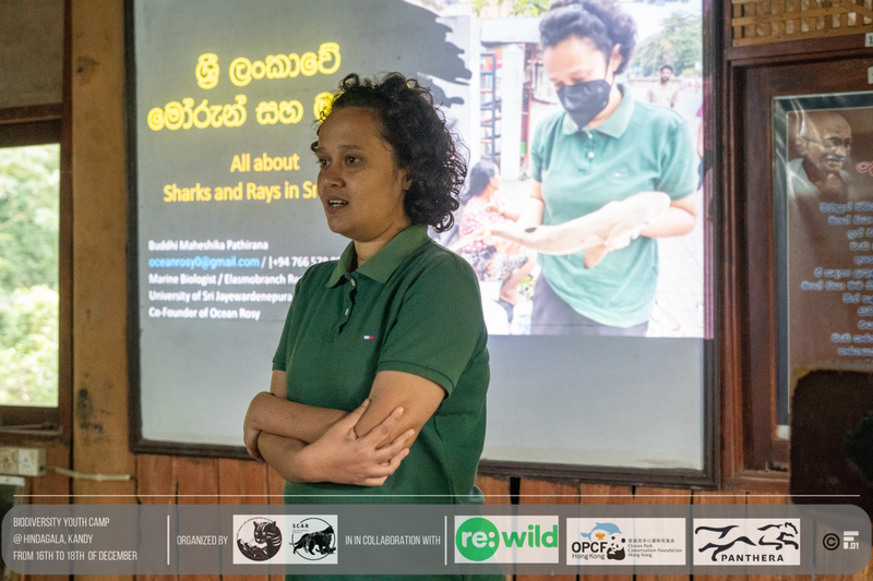 Talk on the “Importance of conserving Sharks and Rays in Sri Lanka”