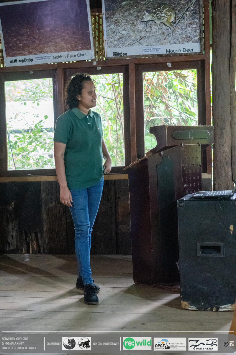 Talk on the “Importance of conserving Sharks and Rays in Sri Lanka”