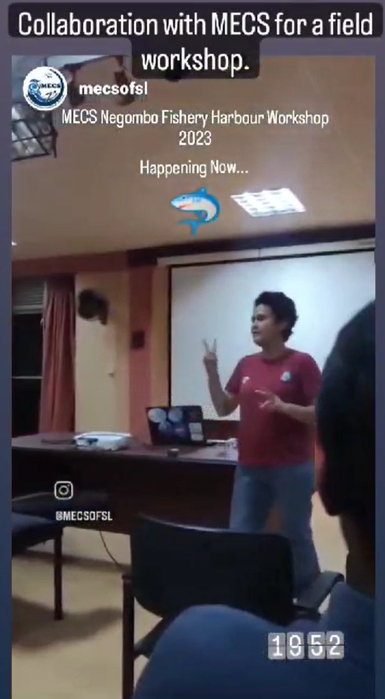 Facilitating a collaborative role in a field workshop conducted by the Marine Environment Conservation Society of Sri Lanka (MECS) at Negombo Fishery Harbor.