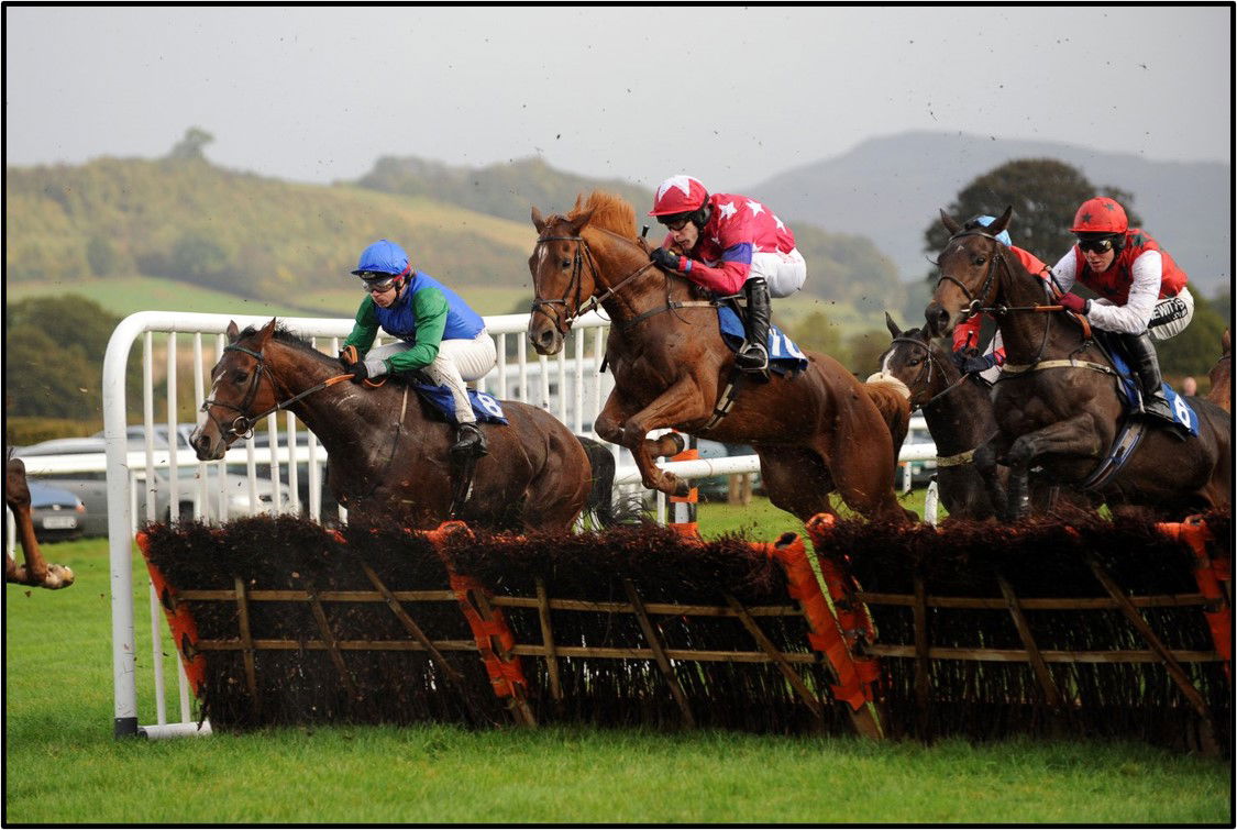 Horses racing over hurdles at Ludlow Racecourse