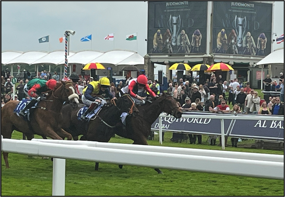 Dante Meeting 18th May 2023 SKY Bet Hambleton Handicap (15.00) 1st: Croupier 7/1 (W. Buick).  2nd: Point Lynas 18/1 (Callum Rodriguez) 3rd: Northern Express 7/2f (P Mulrennan)