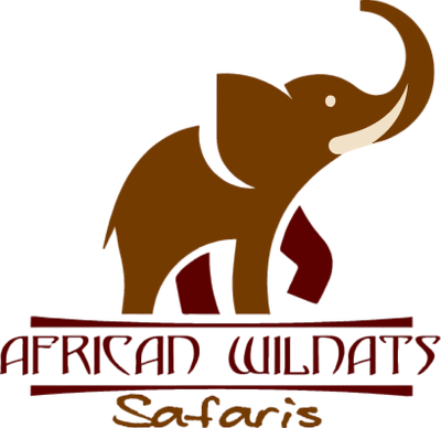 African Wilnats Safaris