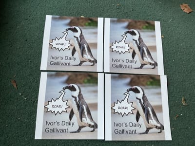 Ivory’s Daily Gallivant 

February 24th 2023

The title of this blog is ‘Daily Gallivant’. When I came up with it: no irony was intended- however looking back at the past couple of days I haven’t left home so there hasn’t been any gallivanting as such. I hope my readers will excuse and bear with me.
 
Today I was having my customary lie in when: there was a knock on the door. It was the postman delivering my promotional cards. I opened up the package and was thought they looked good.

First thing I did after getting up was look at my emails and check my bank balance. My pension came through okay and I ordered a bobble hat promoting Diabetes UK which was advertised in an email and I shall wear on ‘My 2023 Diary Adventures’ 

It’s a good idea to advertise your health conditions, whilst wearing my epilepsy society tee shirt I was approached by other epileptics. It’s nice to know you’re not alone whatever your problem.

My internet connection and Word package went down for a while. Which as can be imagined was frustrating.