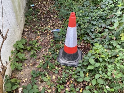 Ivor’s Daily Gallivant 

Sunday October 15, 2023: The Christmas of the abandoned Yuletide traffic cone.

Truly I would like to help make the world a better place but don’t have the inclination to be keep up to date with world news. It would only distress me. So, I ignore it mostly continuing writing my goofy blog and doing my goofy artwork. My hope is what I do will give pleasure, inspiration and amusement to some of my readers and viewers.

I prised myself out of my pit at around 10 and surveyed the street from my kitchen window and my gaze fell upon one of my neighbours Glen. We exchanged a few words. He had what turned out to be a gem, underfoot.

It was a misplaced traffic cone, which was a leftover from a recent bout of traffic repairs. Glen was worried it would be put to bad uses like being put on the roof of a car if left.

I took pity on the poor thing and took it in to shelter from the cruel and wicked world. With the result I now possess my very own traffic cone. Which in due course may be christened.

In a messenger conversation with a friend Lisa who I know vaguely I happened to mention my new adoptee. And she had the brilliant idea it would make a mini-Christmas tree. 

(I thought I could spray it green and cut up the reflective strip into starlets)

I messaged my friend Rick who asked if my newly acquired adoptee was the fruit of a night of drunken mayhem, and debauchery on my part.

Which i denied adding that would have been in keeping with one of my former selves.

I have amongst my friends two, who have connection with the council and are familiar with the working of the criminal justice system.

‘Would I’ I enquired ‘incur the full wrath, fury and might of the the judiciary for such an act of wanton misuse of council property?’

‘No,’ they replied one adding ‘they’re got bigger fish to fry’.

So, the Christmas of the Yuletide abandoned traffic cone is soon to be.