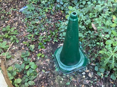 Ivor’s Daily Gallivant 

Sunday October 22, 2023

The alarm went off- I ignored it for a while and then got up. It was cold but the sun shone brightly I had a ham sandwich, an apple and a cup of tea.

 ‘How best to put this day to good use?’ 
I wondered as I drank my tea.

First, write a ‘to do list’ I decided.

To Do list 
(1)	Continue working the housework.
(2)	Do some more to my painting. 
(3)	Spray the traffic cone for the Christmas Tree project.
(4)	Do some shopping in Hythe (done)

I did some homework for a few minutes but without any zeal. The place looks a mess, and I don’t care. I’m in a state of suspended animation just sat with my tea. In need enthusiasm, passion, zeal, energy, vitality, and get up and go. 

Time to write a few lines of doggerel, I decided.

Sitters around moaning will get me nowhere….
I can’t even muster any real disappear.
Just finishing my utterances with 
Yeah, yeah yeah.

(Hum I feel better for that)

After a while I snapped out of it and went to Hythe to get some shopping. The weather was superb, and I walked past Alfalfa and decided to venture inside. I did and had a Dialonia Pizza with salad and boy it was good. After my meal I waddled on to Lidl and did some more shopping, I wanted to make some ratatouille and Bobotie and bought the appropriate ingredients, plus tins of soup, granola and apples.

When I got home, I sprayed the abandoned traffic cone green and it’s now looking just like (well almost like) a mini- Christmas tree.