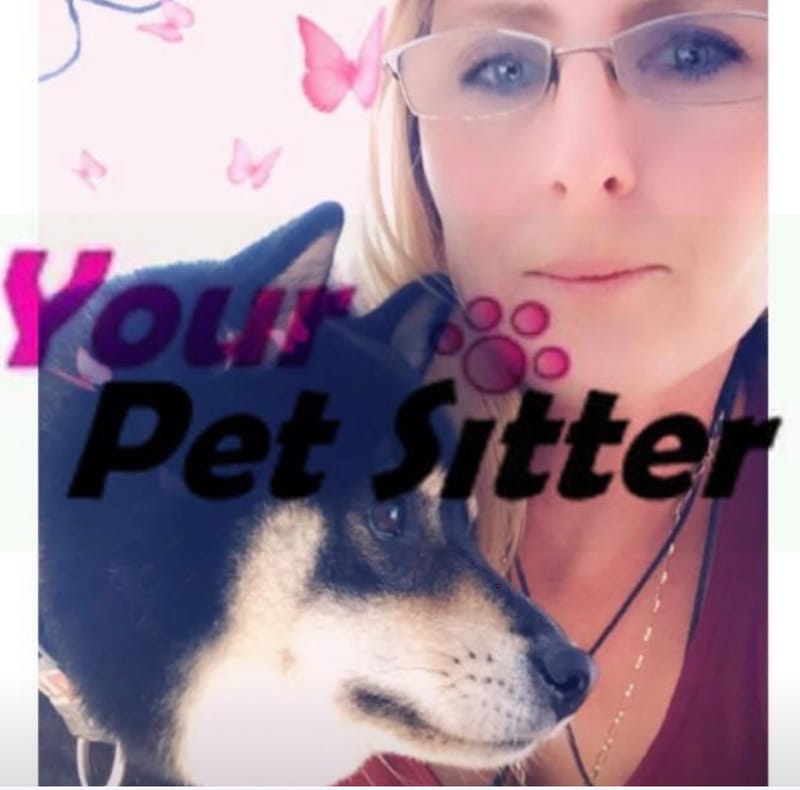 Dog &amp; Cat Sitting