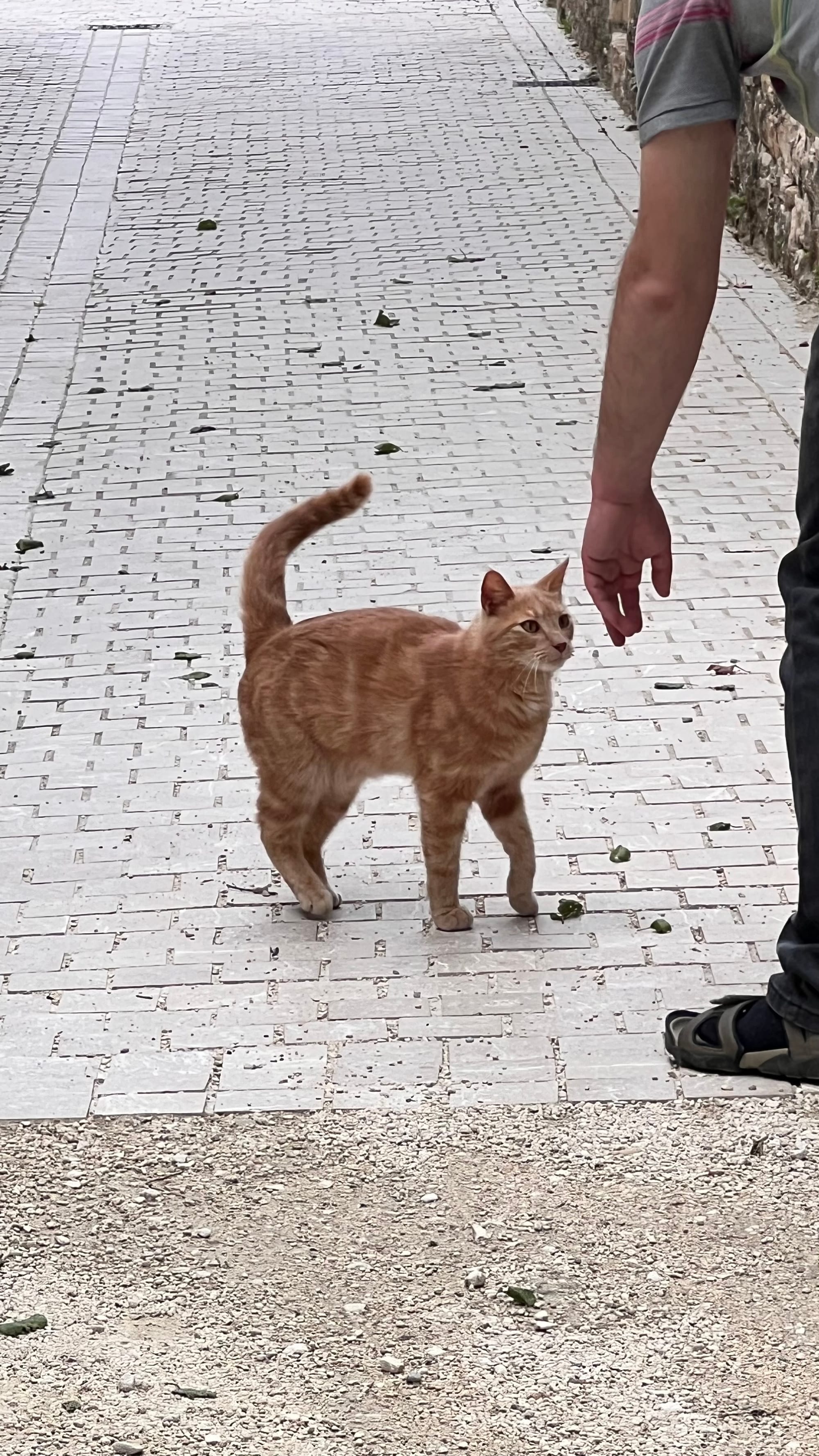 De Suecia al Mediterráneo