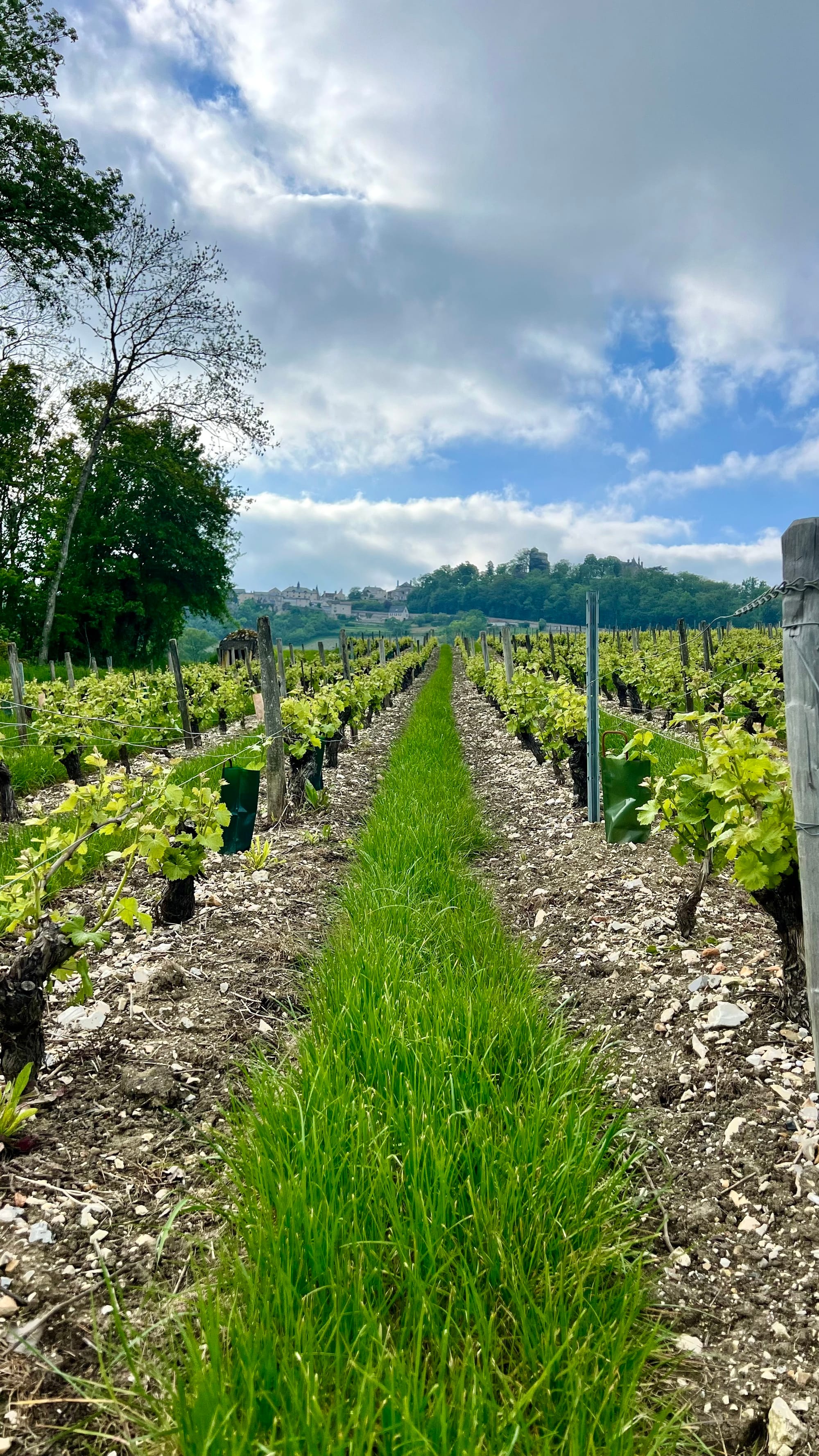 De Suecia al Mediterráneo