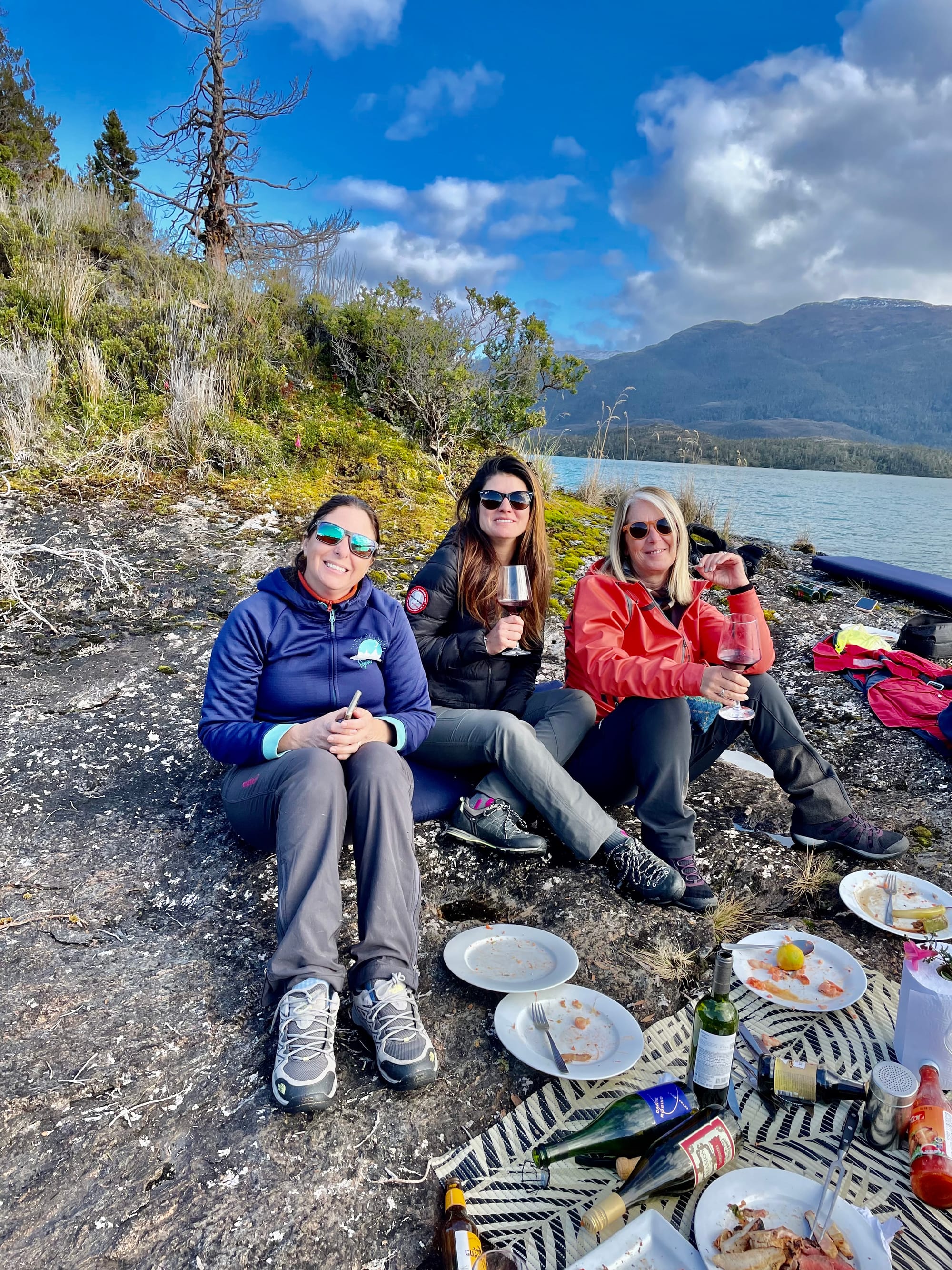 Punta Arenas - Puerto Montt