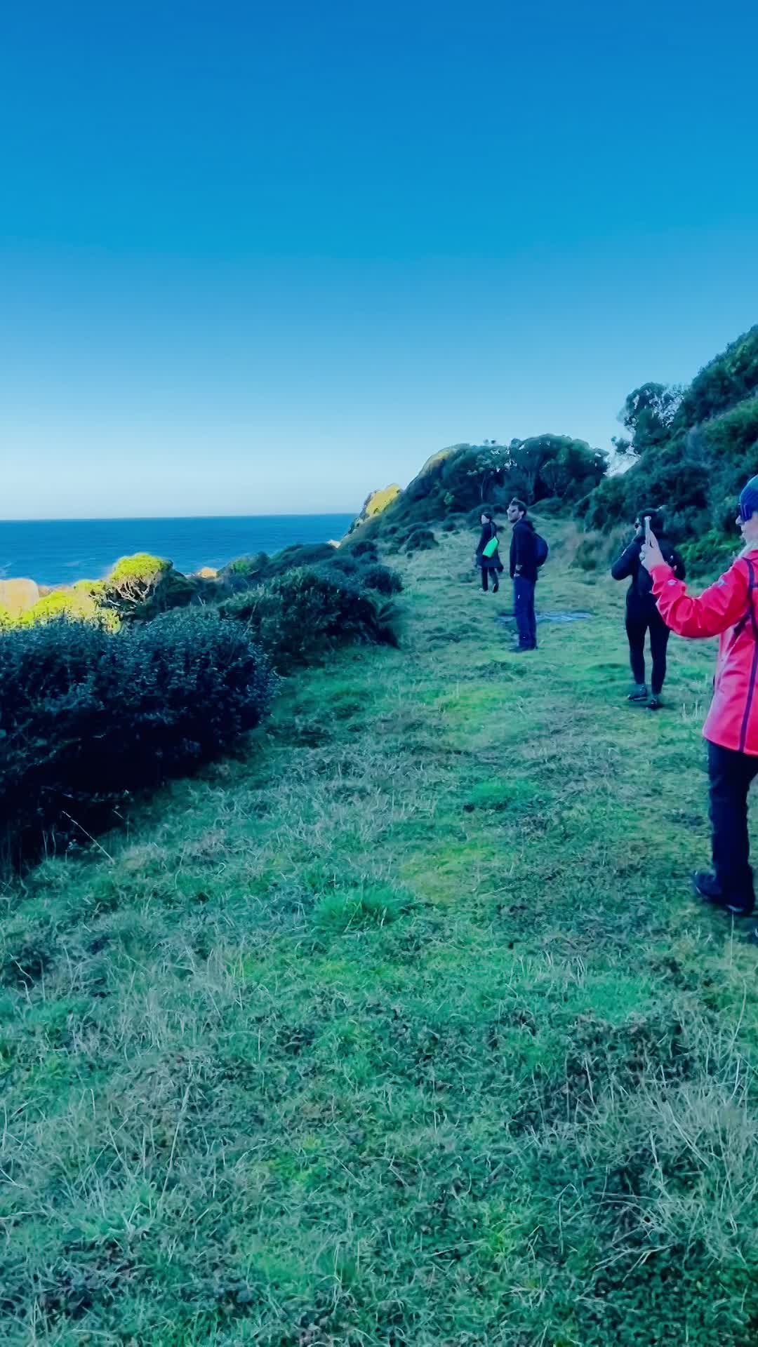 Punta Arenas - Puerto Montt