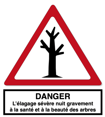 Préserver les arbres image