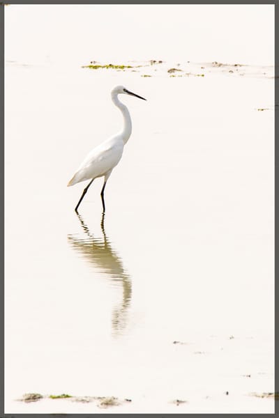 À propos de Moi image