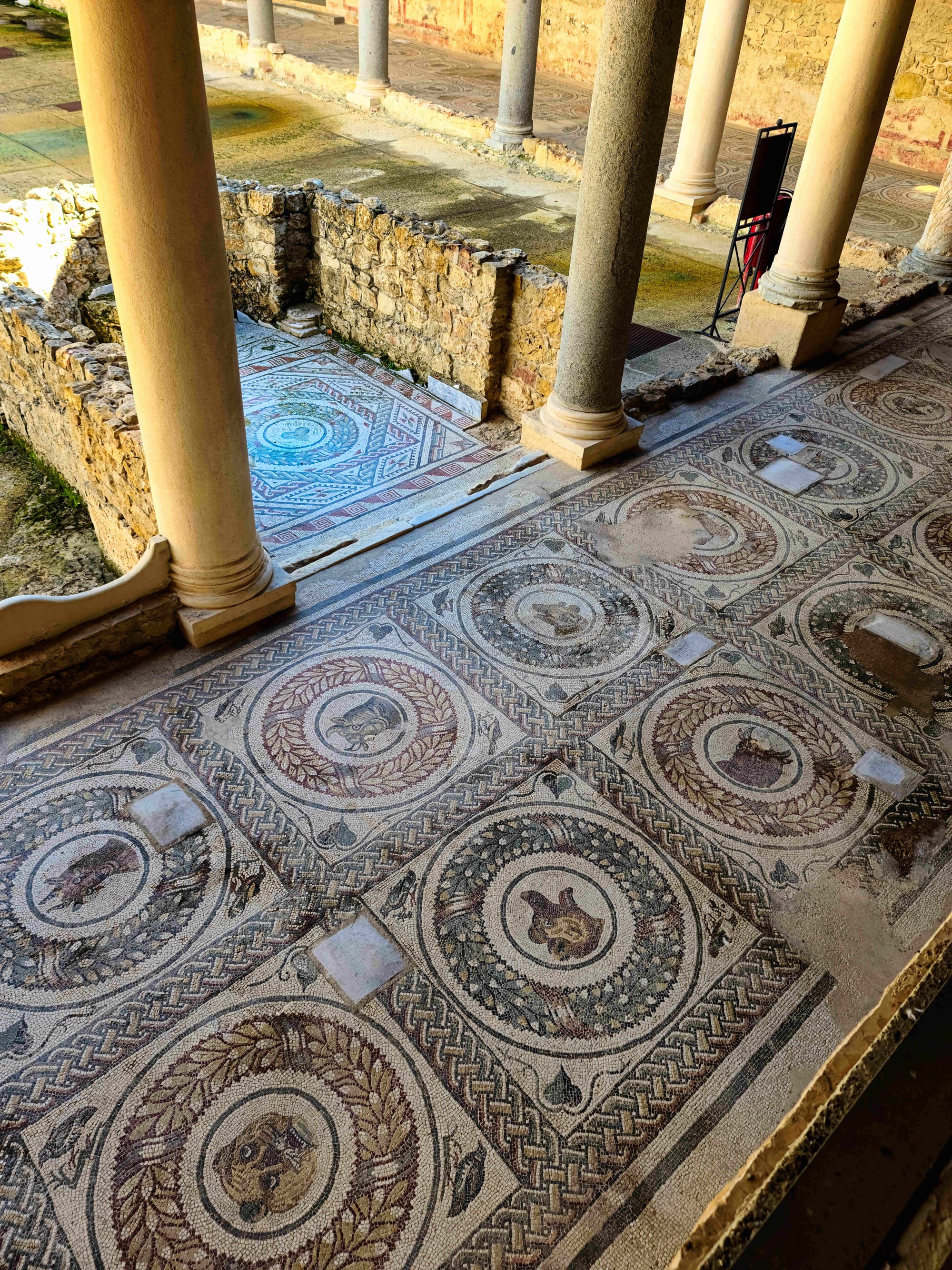 Roman Mosaics