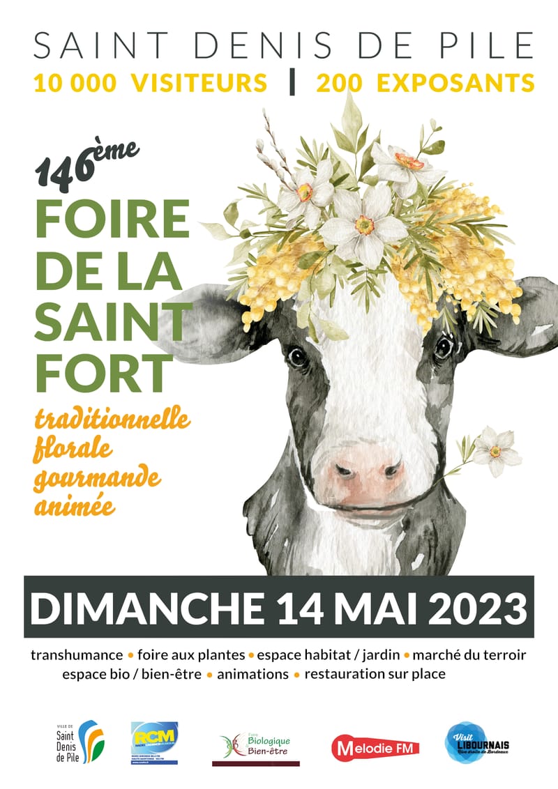 FOIRE LA ST FORT SAINT DENIS DE PILE