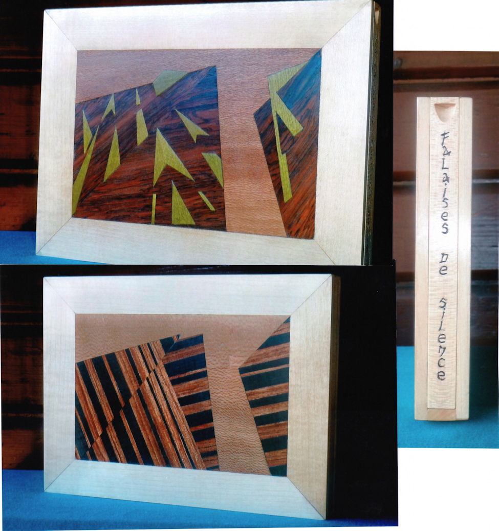 Boite à livre d'artiste