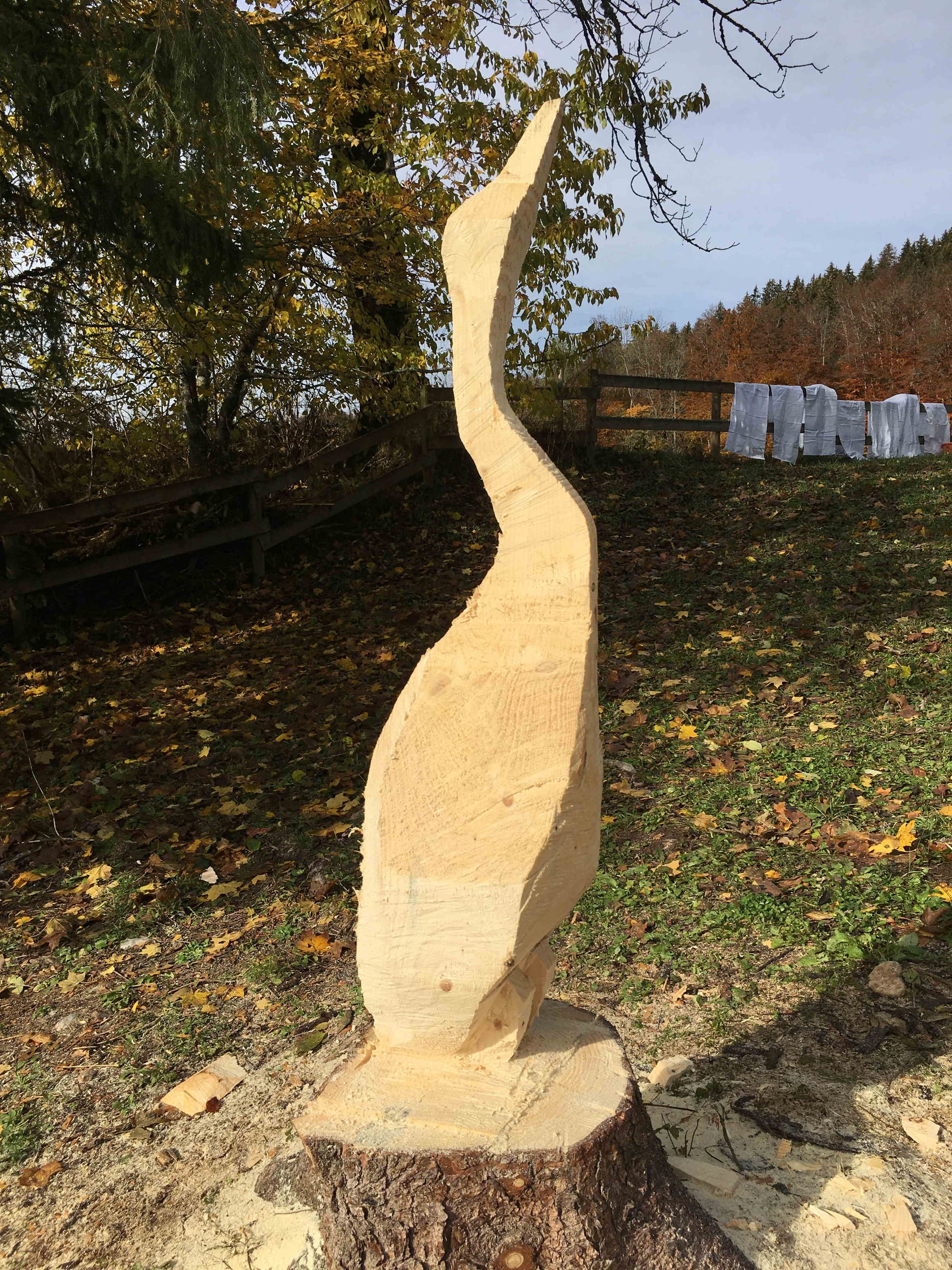 la grue au long bec
