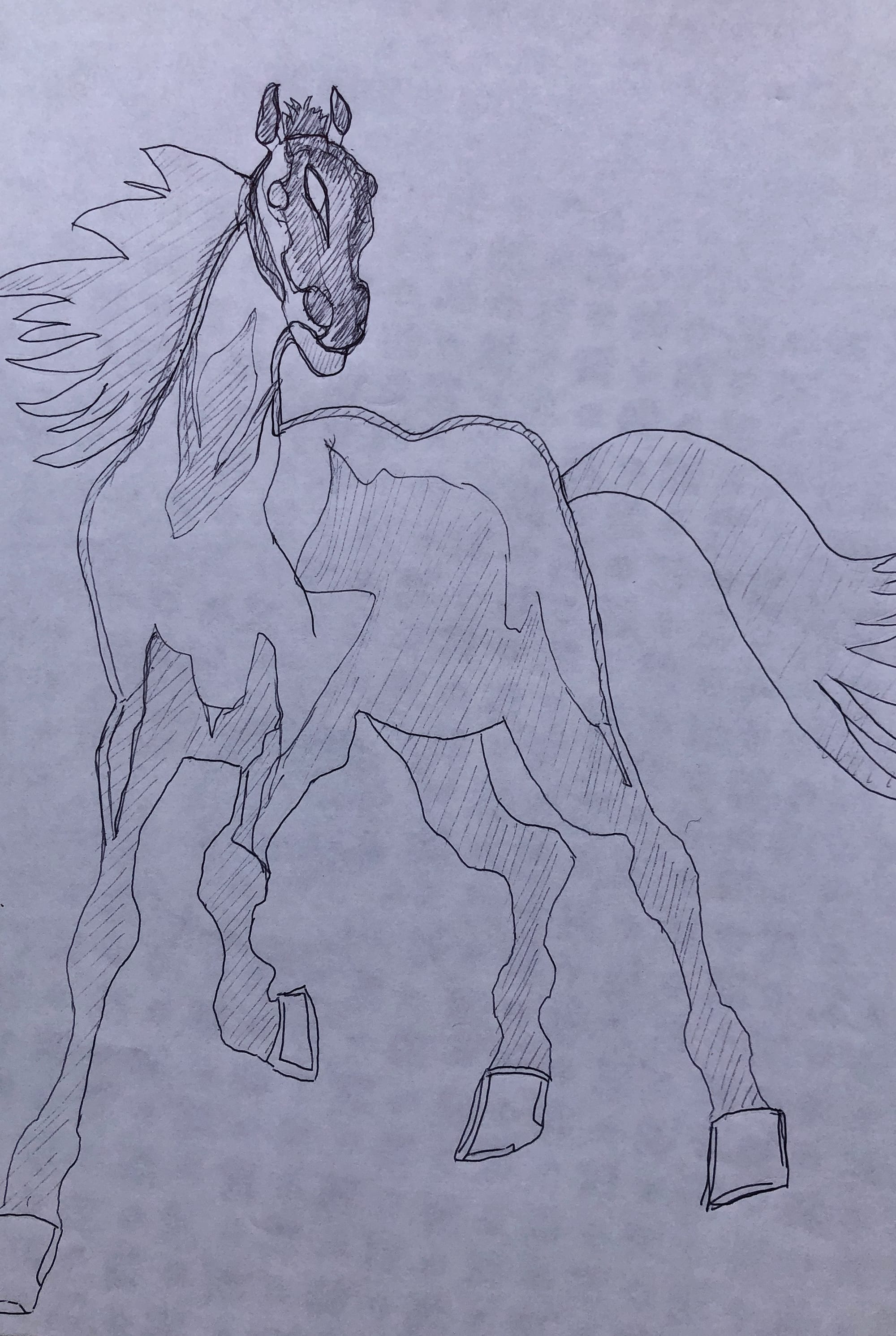 Le projet de cheval