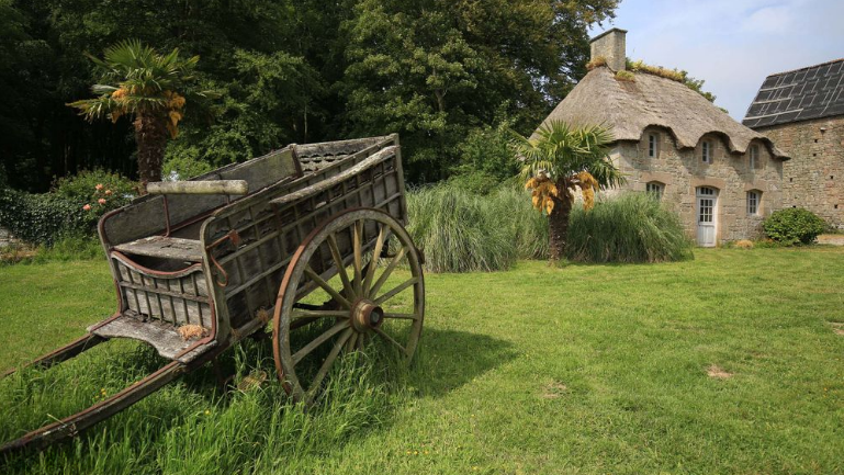 CONCERT MUSETTE 80ème ANNIVERSAIRE au CHÂTEAU de CARNEVILLE