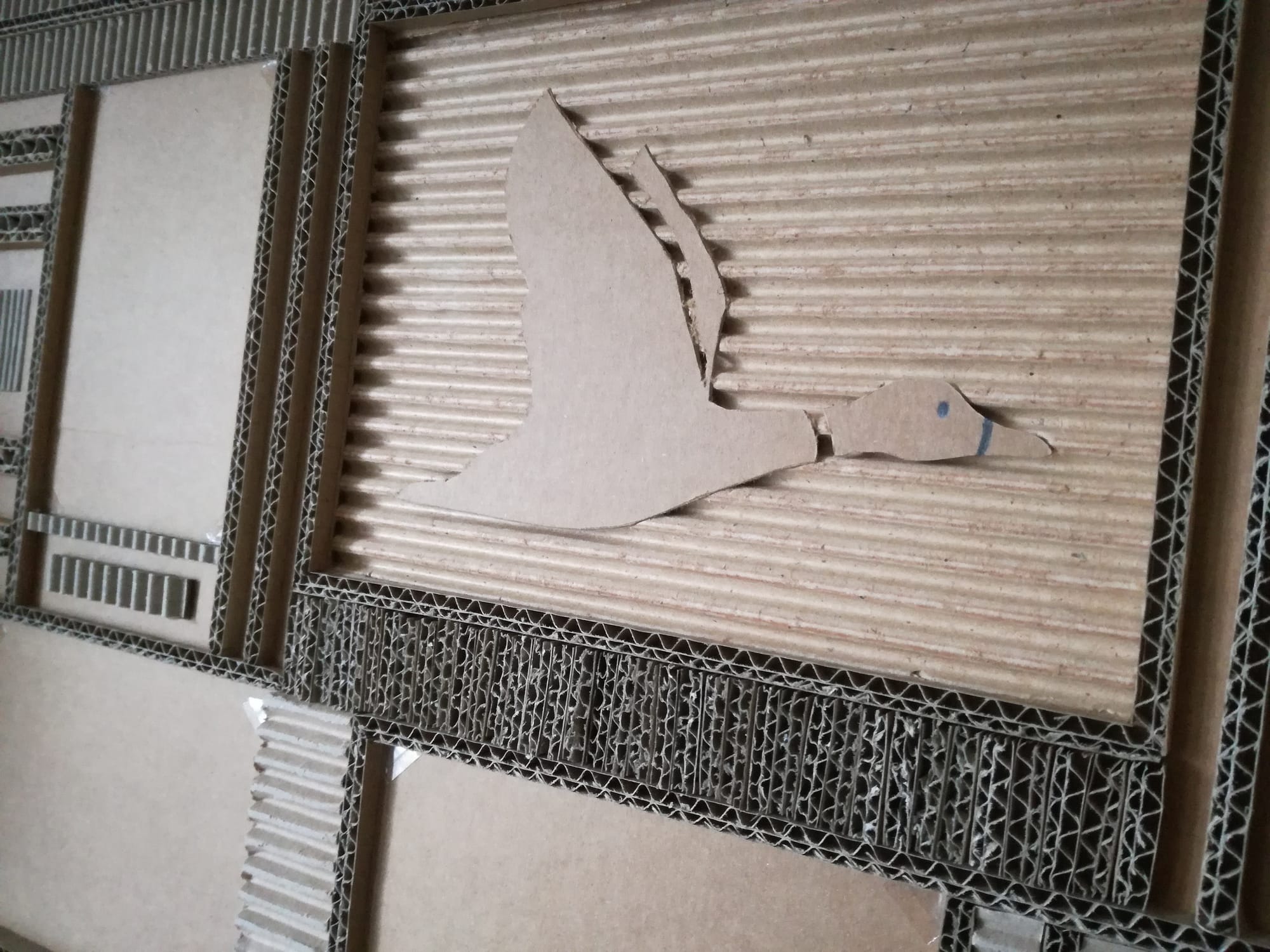 agrandissement zone Canard