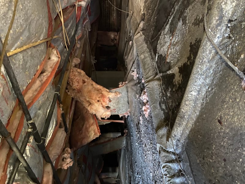 Crawl space repair/ cleaning