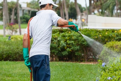 Benefits of Hiring a Pest Control Company image