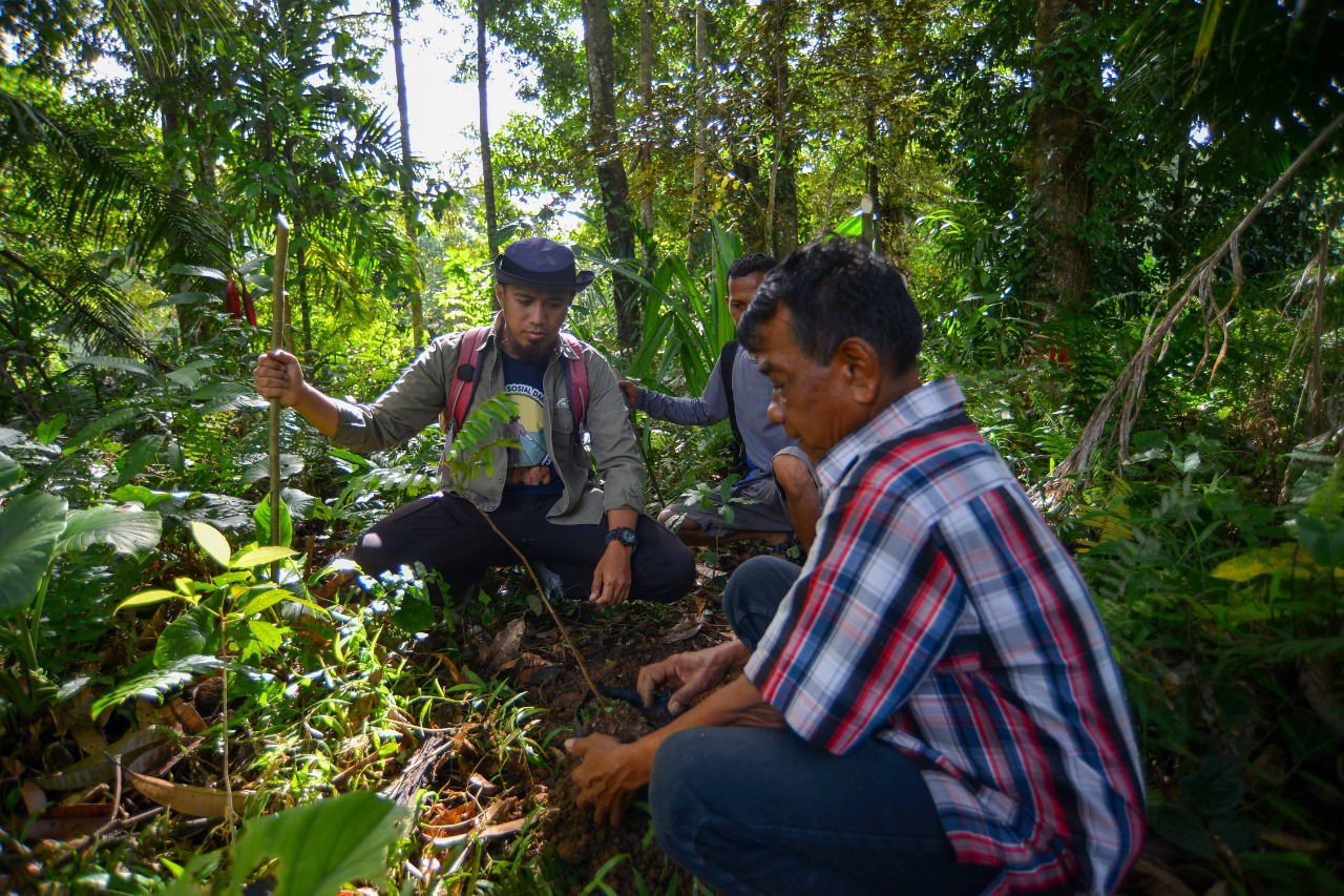 Penanaman Pohon Asuh