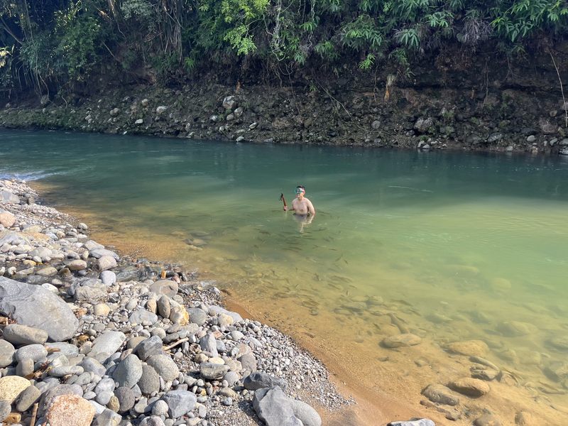 Panen Ikan Larangan (Bongka Niaik)