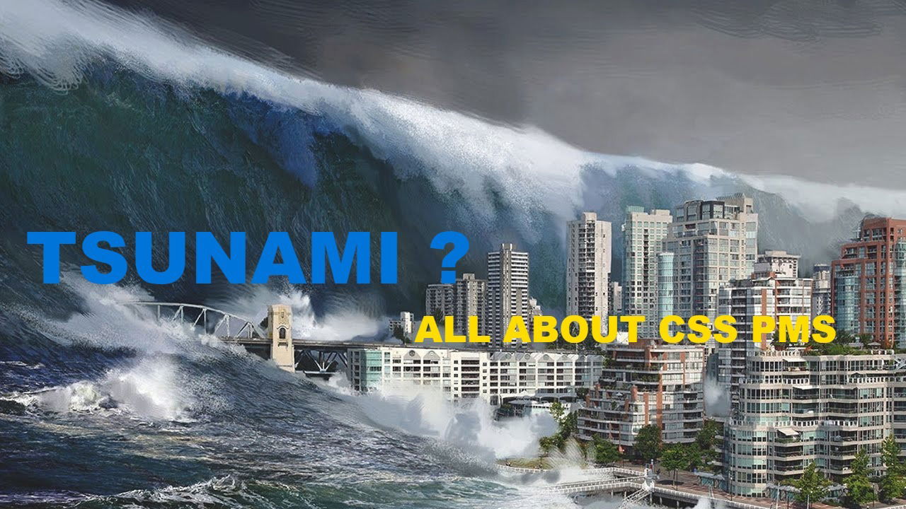 WHAT IS TSUNAMI ?