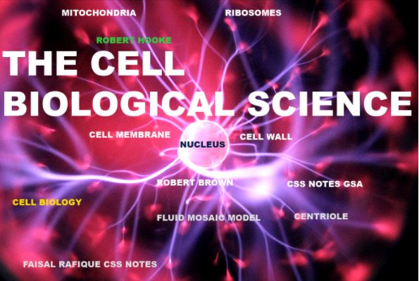 THE CELL : BIOLOGICAL SCIENCES GSA: