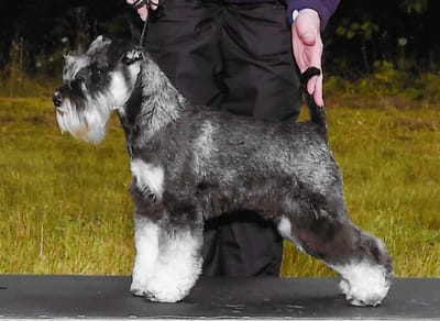 Guys &amp; GALS image