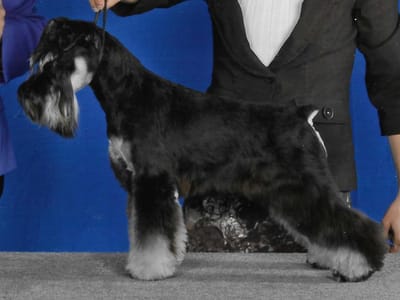 Guys &amp; GALS image