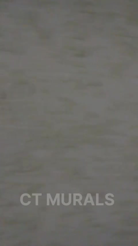 Interior Paint Work for Office