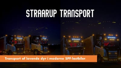 Straarup Transport