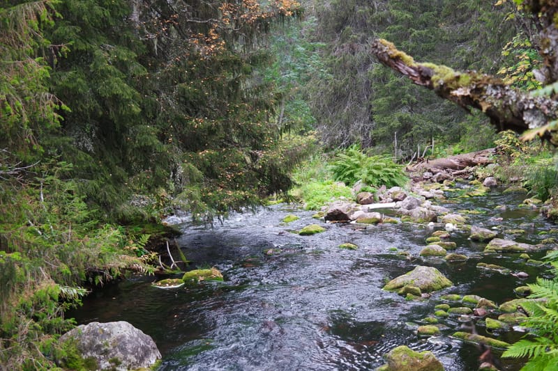 Roadtrip: Zweden; Idre