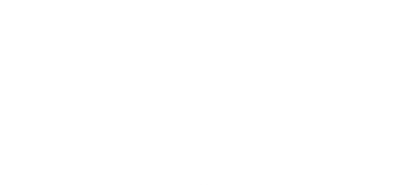 SEGA Consulting