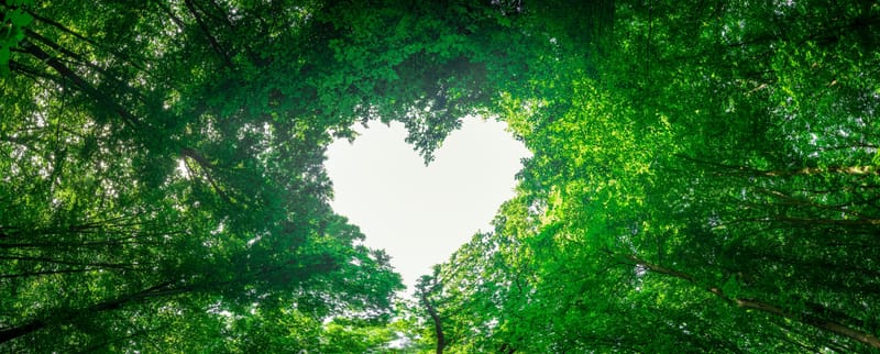 The Journey From Head to Heart Course: Practical Tools for Emotional Wellbeing