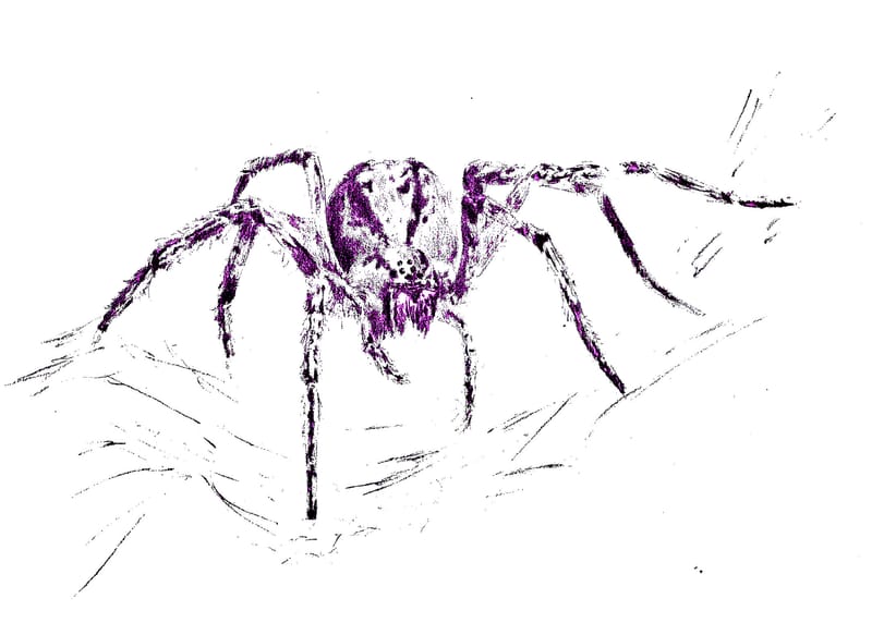 Istniejące stworzenia