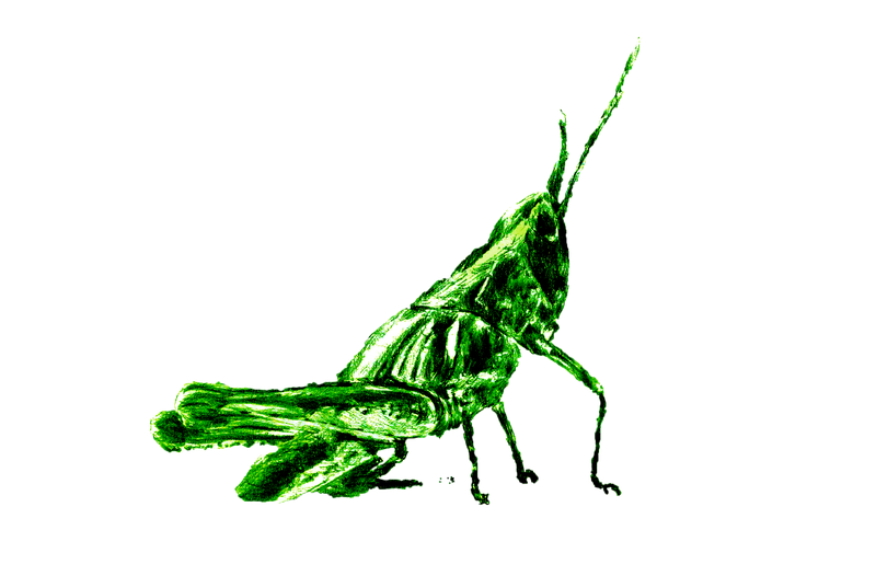 Istniejące stworzenia