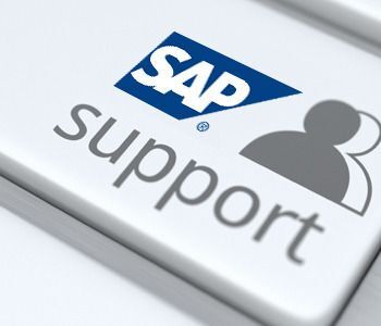 Why do you need a SAP Support Analyst?