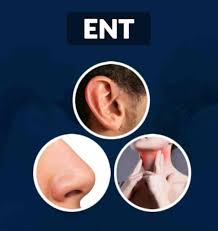 ENT &amp; ENT/ Otorhinolaryngologist