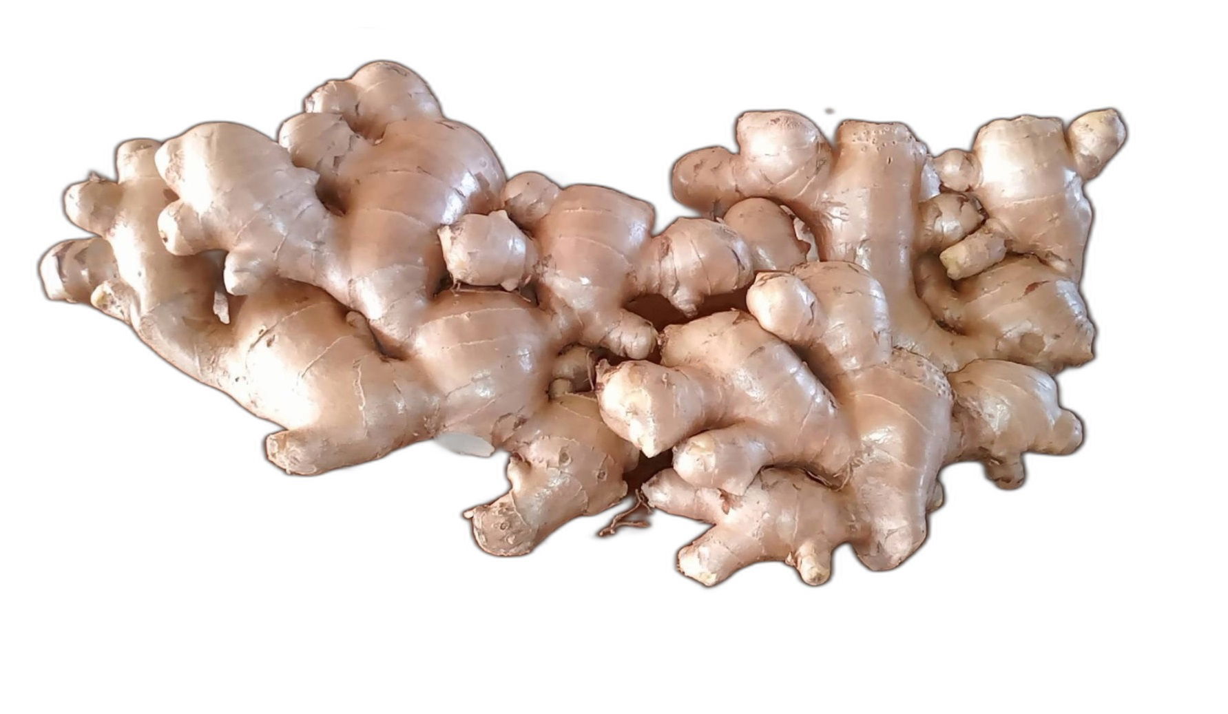 Thai Fresh Ginger