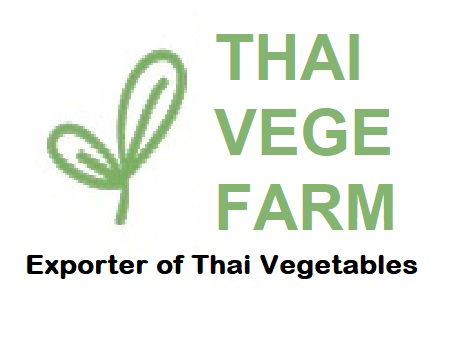 Thai Vege Farm's Mission to Supply Quality Thai Fresh Ginger