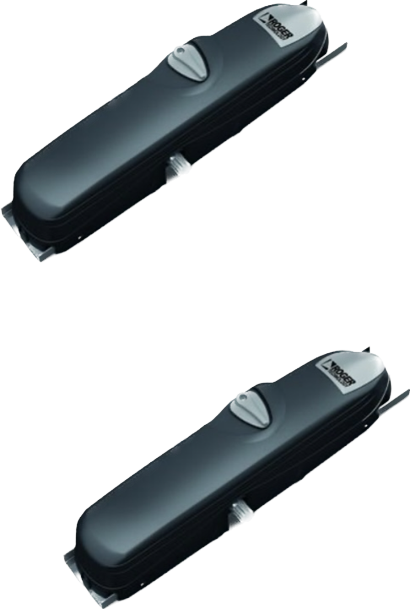 AUTOMAZIONE DOPPIO MOTORE SUL MANTO