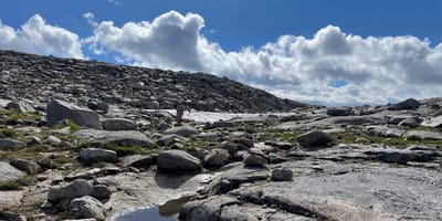 Lyell Canyon - Donohue Pass - Ruby Lake / 22.08.